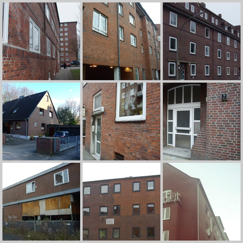  photo DSC00113-1.jpg